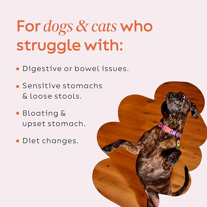 Diggin' Your Dog – Firm Up Pumpkin for Dogs & Cats – Fiber Supplement with Pumpkin & Apple Fiber for Cat & Dog Digestive Support – Made in USA, 4 oz