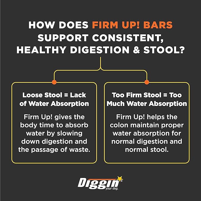 Diggin' Your Dog Firm Up Bars for Dogs & Cats, 100% Made in USA, Pumpkin Powder Bars for Dogs, Digestive Support, Apple Pectin, Fiber, Healthy Stool, 6 Count