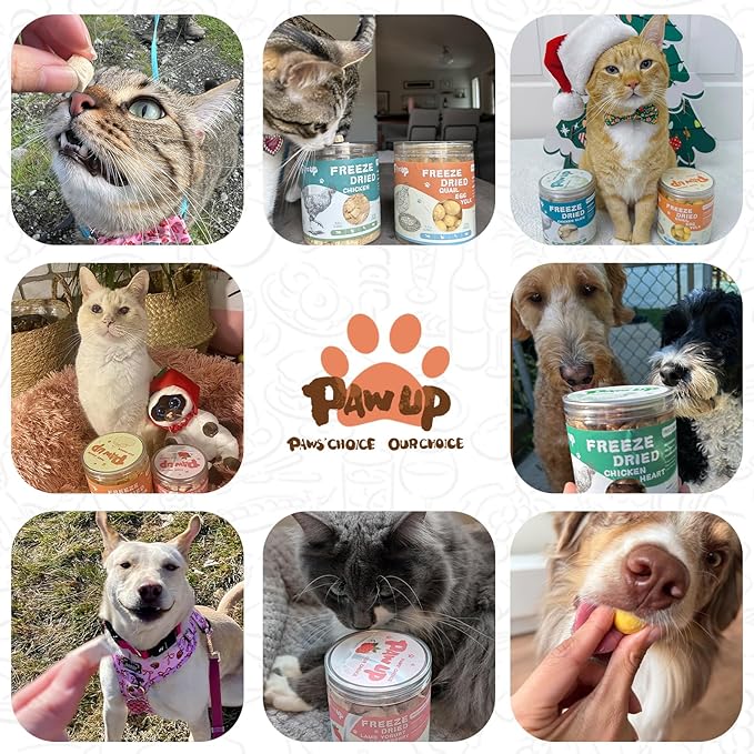 PAWUP Freeze Dried Salmon Dog Treats, Single Ingredient Raw Dog Food Toppers, Healthy Training Treats for Dogs,3.8 oz