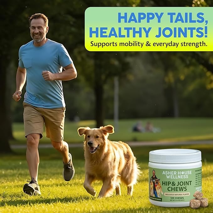 Asher House Wellness Hip and Joint Supplement for Dogs - Natural Soft Chew with MSM, Chondroitin, Glucosamine, Vitamins - Promotes Joint Health & Pain Relief Senior & All Dog Breeds, Large, 120 Chews