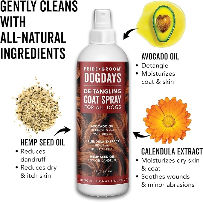 Pride and Groom DogDays Detangling Coat Spray for All Dogs | Conditioner & Detangler Spray for Shiny, Tangle-Free Fur | Hydrating & Repairing Formula with Fresh Scent | Made in USA – 16 fl oz