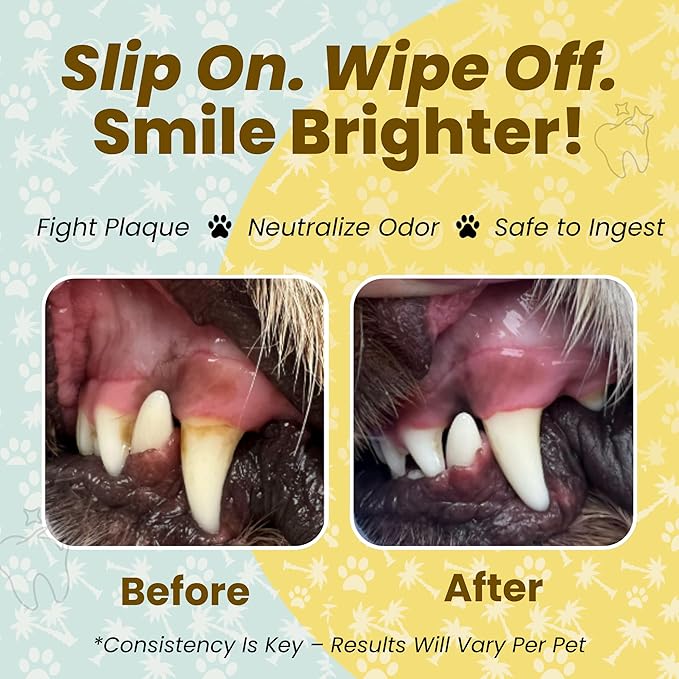 Dog Teeth Cleaning Wipes Ear Nose Paws Fur Cleaner Pure Coconut Oil 2 Packs of 50