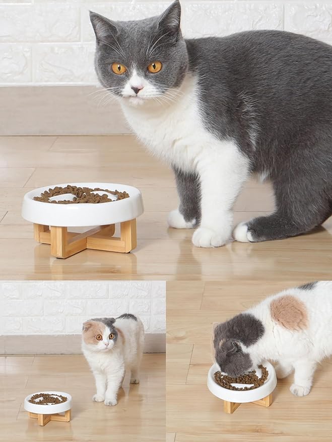 Raised Cat Dog Slow Feeder Bowl with Stand, Cat Bowls for Slow Eating, Ceramic Elevated Slow Feed Cat Bowls, Pet Bowl for Cat and Dog, Cat Puzzle Feeder for Healthy Eating Diet, 2.5'' High, 5.2'' Wide