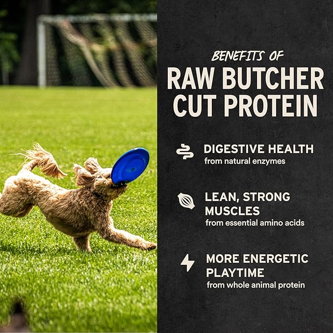 Vital Essentials Single Ingredient Chicken Breast Dog Treats, 2.1 oz | Freeze-Dried Raw | Premium Quality High Protein Training Treats | Grain Free, Gluten Free, Filler Free