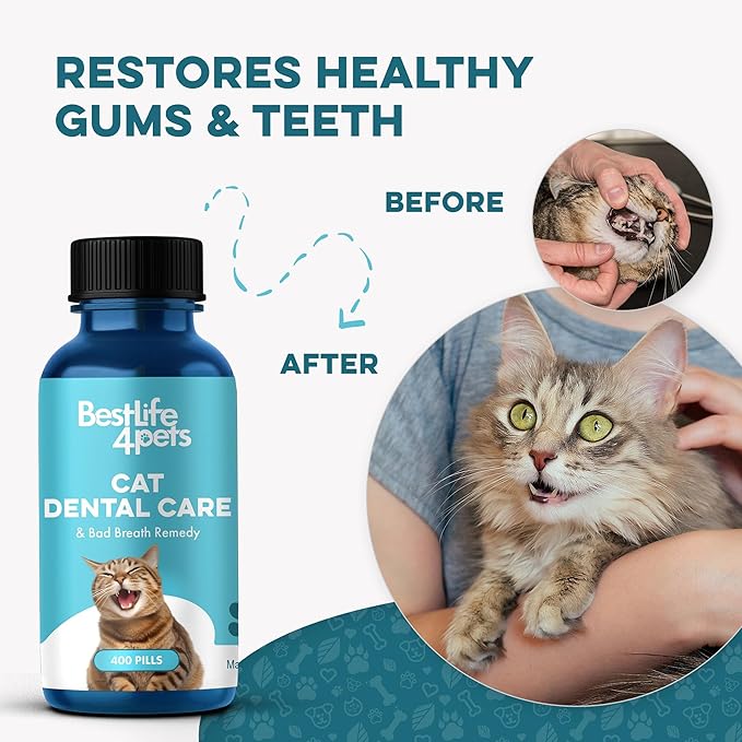 Cat Dental Care Supplement for Bad Breath, Tartar & Gum Support - Natural Cat Teeth Cleaning Oral Tablets Provide Eating & Gum Comfort, Teeth Wellness and Plaque Control, Tiny Dissolvable 400 Pills