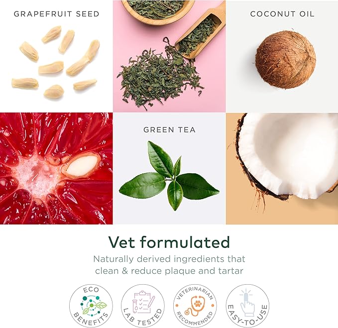 Ultimate Care Bundle: First Aid Kit, Ear Cleaner Wipes & Dental Care Wipes