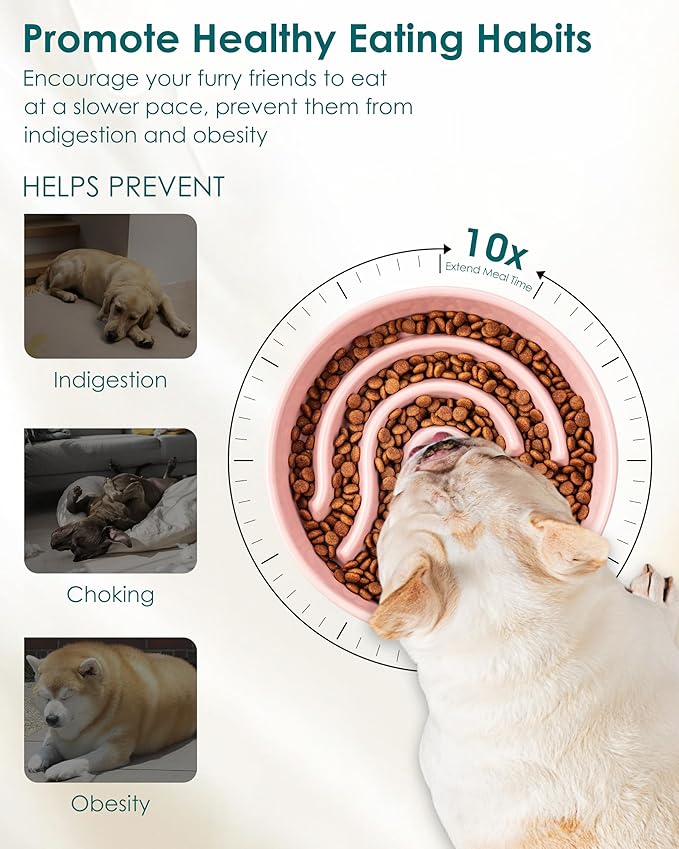 vancasso Slow Feeder Dog Bowl, 0.6 Cup Ceramic Slow Feeding Food Dish for Small Breed, Puzzle Dog Food Bowl for Fast Eater, Pink