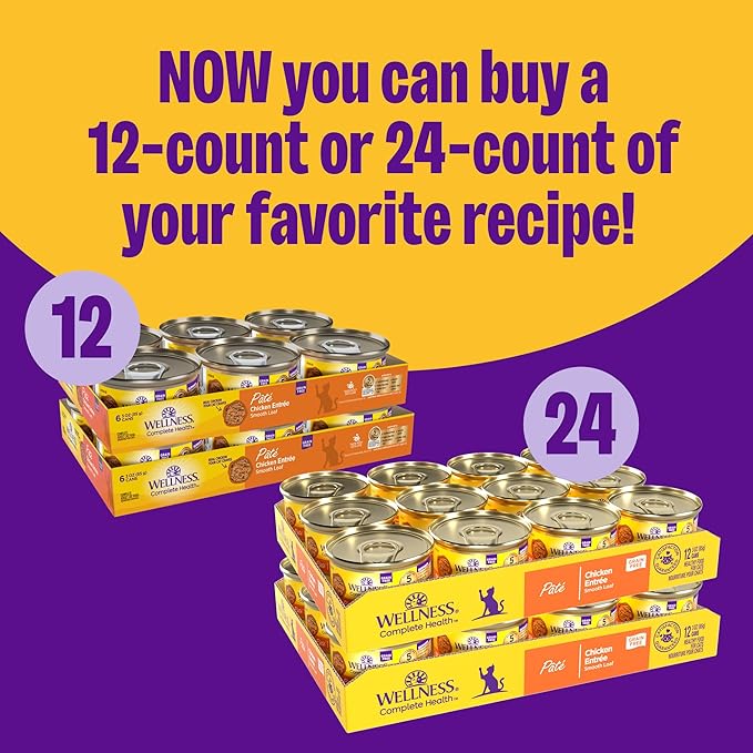 Wellness Complete Health Pate Adult Wet Cat Food, Natural, Protein-Rich, Grain Free, 3 Ounce, 24 Pack, (Turkey)