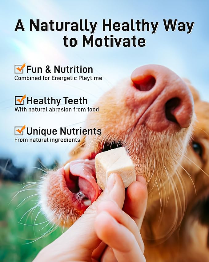 Freeze Dried Chicken Cats & Dogs Treats, High Protein Single Ingredient - No Additives | Grain Free | Training & Nutrition Supplements, Sealed Box, 1.1LB