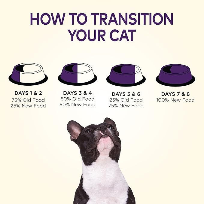 Wellness Complete Health Puppy Dry Dog Food, Grain Free, Natural, Chicken & Salmon Recipe, (24-Pound Bag)