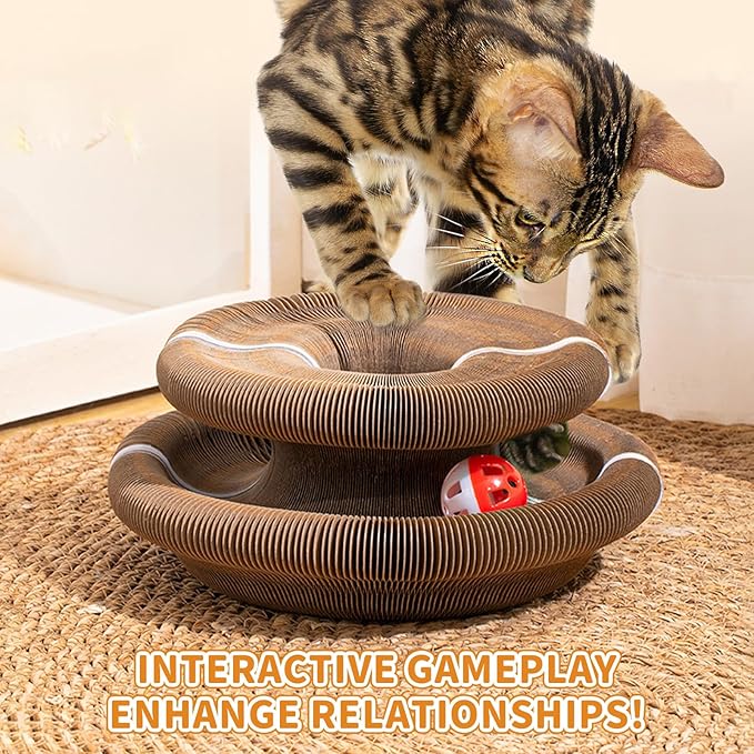 Kitty Kurlz Magic Twist Cat Toy, Collapsible & Double-Sided Infinity Design Kitten Scratching Pad, Eco-Friendly Cardboard, Long-Lasting Interactive Play Toy for Indoor Kittens, 2 Pack