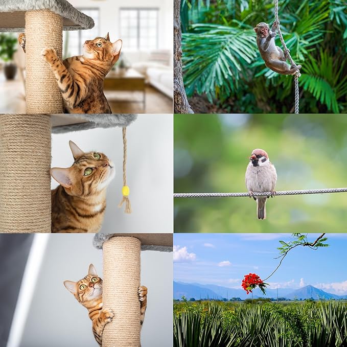 Premium Brazilian Sisal Rope, Natural Fiber 100% Sisal, Ultra Durable, Chemical-Free, Ideal for DIY, Cats, Scratching Post Replacement, Home Decor, Garden, Crafting (1/4” 50 ft / 6mm 15m)