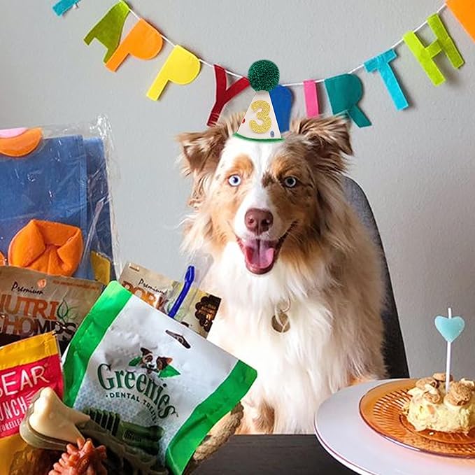 Pet Birthday Hat with Interchangeable Numbers 1-10 | Adjustable Pet Party Cone Hat for Dogs & Cats | Puppy Birthday Photo Props for 1st to 10th Birthday Celebrations (Beige Birtgday Pet Hat)