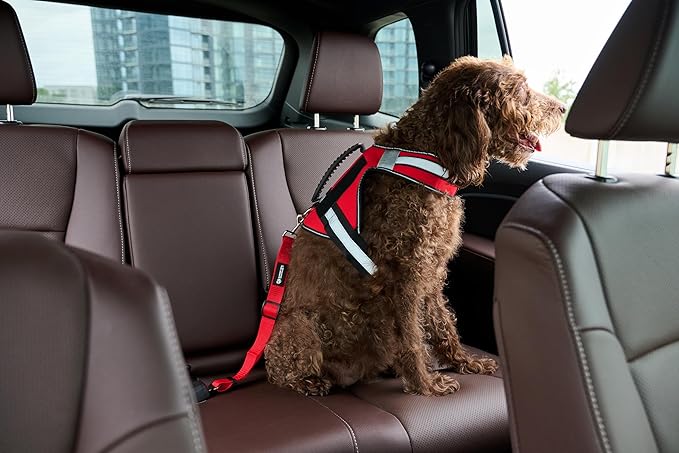 Support Pets Adjustable Pet Seatbelt – Red Car Safety Harness Clip for Dogs & Support Animals – Durable Nylon Travel Restraint – Vehicle Seatbelt Buckle Attachment for Secure Pet Travel