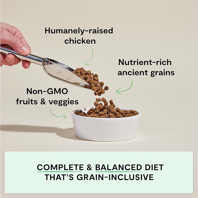 Open Farm, Ancient Grains Dry Dog Food, Protein-Rich & Nutrient Dense, 90% Animal Protein Mixed with Non-GMO Fruits, Veggies and Superfoods, Harvest Chicken Recipe, 22lb Bag