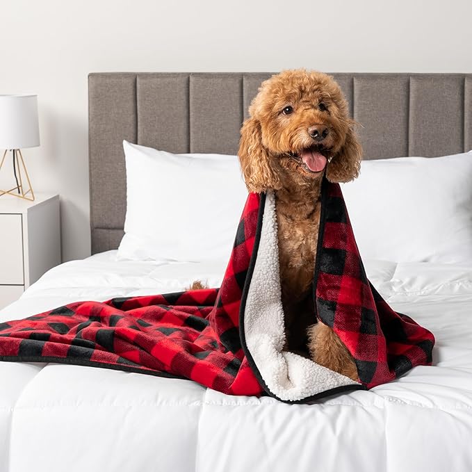 PetAmi Waterproof Dog Blanket Sherpa Fleece, Pet for Medium Large Dogs, Reversible Cat Throw Bed Couch Sofa Furniture Protector, Soft Plush Microfiber (Large 40x60, Checker Red) Checkered Red