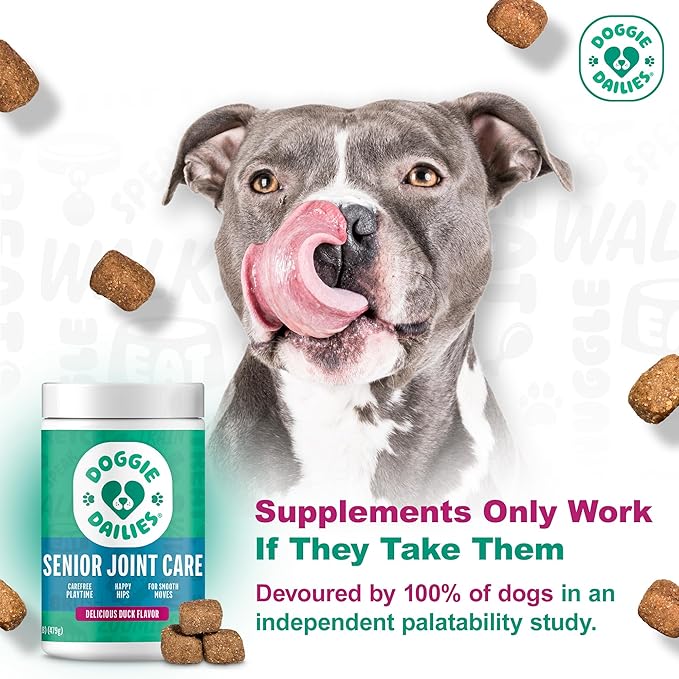 Doggie Dailies, Advanced Senior Hip and Joint Supplement for Dogs, Glucosamine Chondroitin, Premium Hip and Joint Chews for Dogs All Breeds & Sizes, Dog Vitamins and Supplements, (Duck) 120 Chews