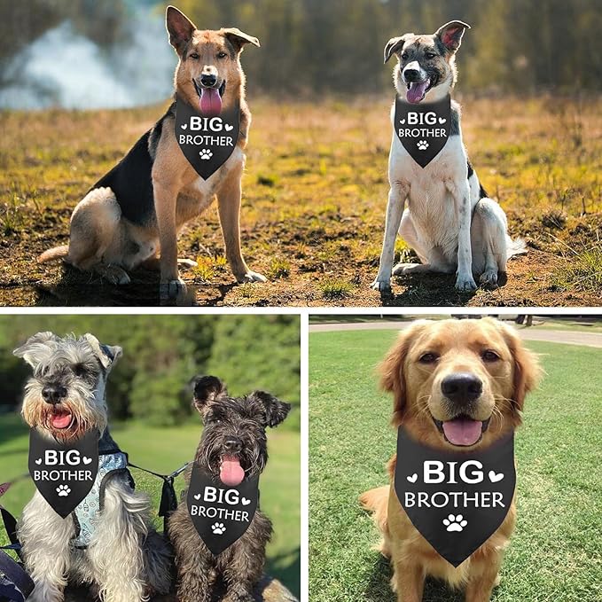 Pregnancy Announcement Dog Bandana, Baby Shower Pet Bandana, Black Cotton, 27 x 18 inch