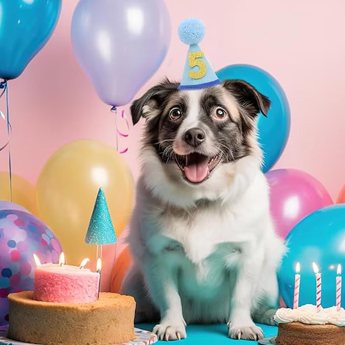 Pet Birthday Hat with Interchangeable Numbers 1-10 | Adjustable Pet Party Cone Hat for Dogs & Cats | Puppy Birthday Photo Props for 1st to 10th Birthday Celebrations (Blue Birthday Pet Hat)