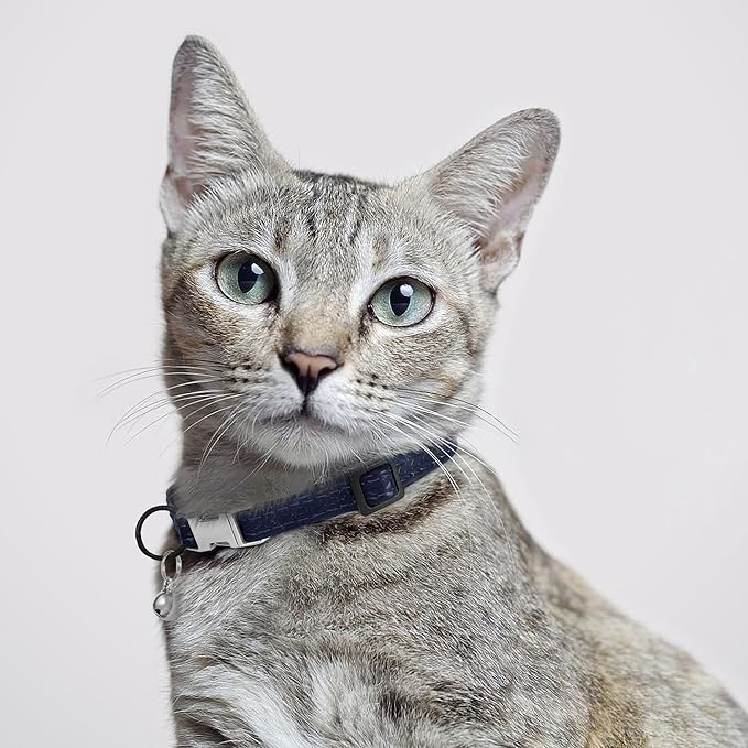 Leather Cat Collar with Buckle and Removable Bell - Non Breakaway Adjustable Soft Safety Small Pet Collars for Girl Boy Cats Kitten (Navy Blue)