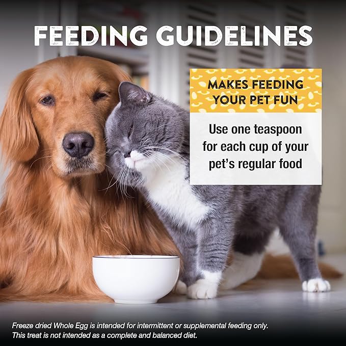 Northwest Naturals Freeze-Dried Whole Chicken Egg Functional Topper - for Dogs & Cats - Healthy, 1 Ingredient, Human Grade Ingredients, All Natural, Proudly Made in USA, 4 Oz (Pack of 1)