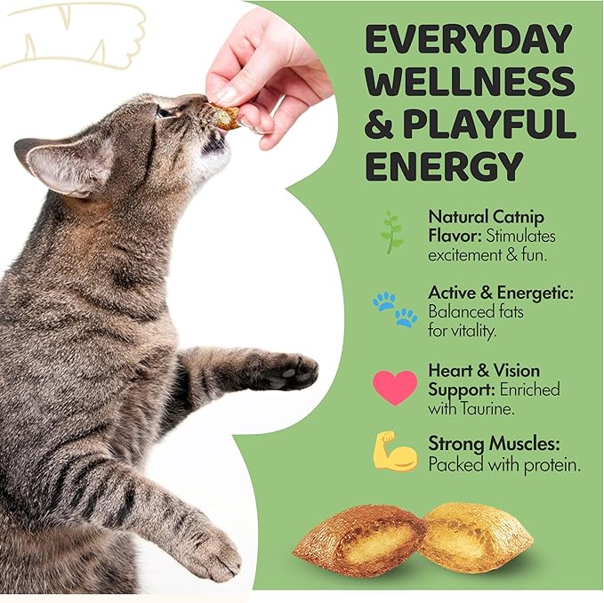 Crunchy Cat Treats – Dual‐Texture Crunch & Creamy Soft Feline Snack Bites for All Life Stages, Great for Training Treat Value Bags (1 Pound, Catnip)