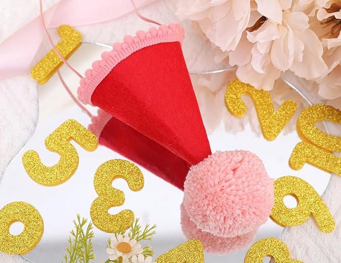 Pet Birthday Hat with Interchangeable Numbers 1-10 | Adjustable Pet Party Cone Hat for Dogs & Cats | Puppy Birthday Photo Props for 1st to 10th Birthday Celebrations (Red Birthday Pet Hat)
