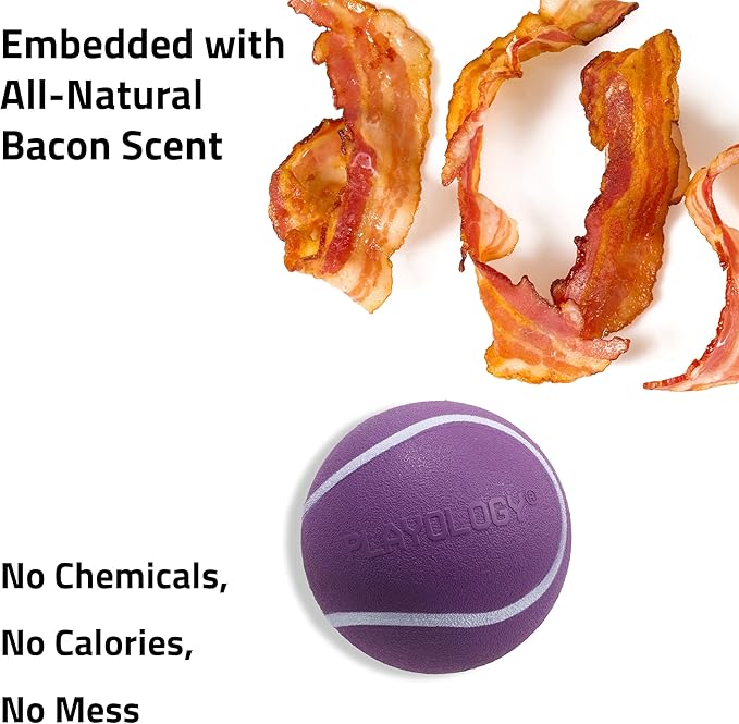 Playology Dog Toys | Squeaky Chew Ball - Bouncy Durable Floating Fetch Ball for Dogs, Value 2-Pack | Medium Bacon Scented Toy - Easy to Clean and Made from Non Toxic Materials