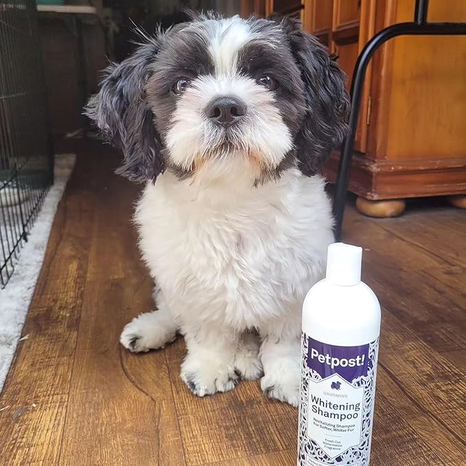 Petpost | Dog Whitening Shampoo with Coconut Oil & Aloe. Brightens White & Light Coats, Moisturizes Skin. Watermelon Scent. 16 oz