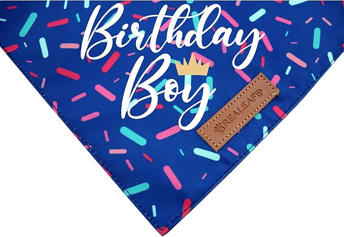 Realeaf Birthday Boy Dog Bandana, Dog Birthday Party Supplies,Premium Durable Fabric, Bandana for Large and XLarge Dogs (Blue, X-Large)