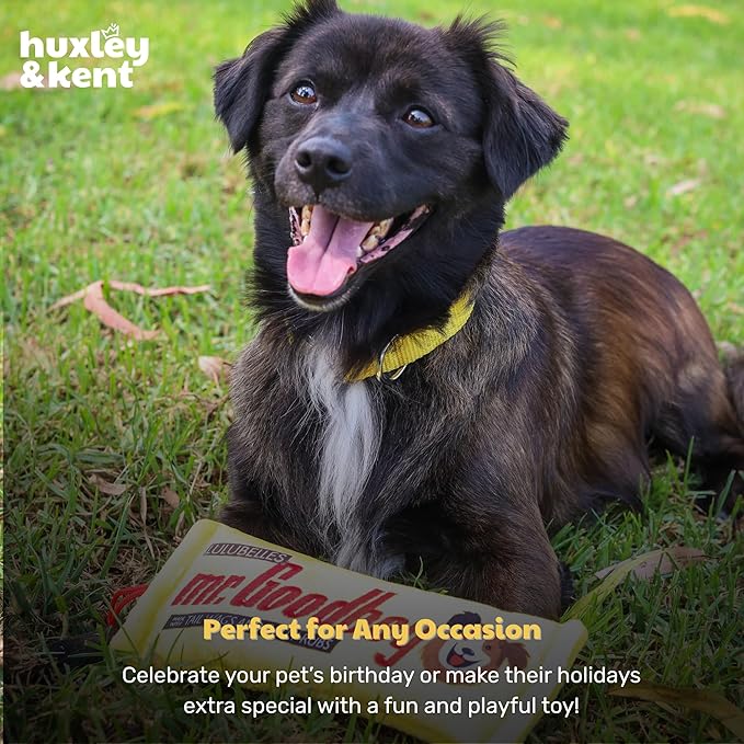 Huxley & Kent Funny Dog Toy w/Squeaker – Power Plush Squeaky Dog Toys for Small, Medium & Large Dogs – Soft Stuffed Animal for Indoor Play & Fetch - Mr Goodboy, Large