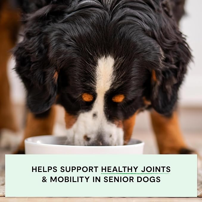 Open Farm, Grain-Free Dry Dog Food for Senior Dogs, Complete & Balanced Kibble to Support Joints & Mobility, Sustainably & Ethically Sourced Ingredients, Chicken & Turkey Recipe for Seniors, 22lb Bag