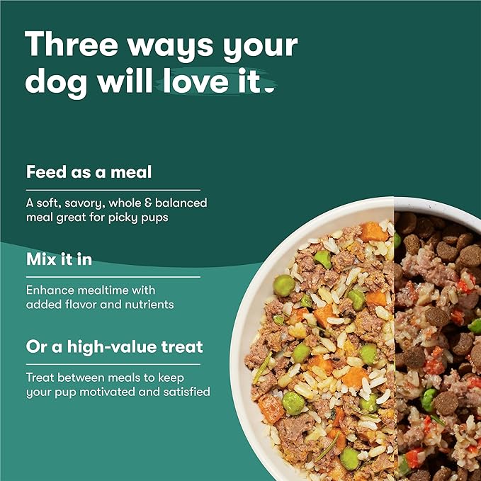 Jinx Chicken Dog Wet Food, Meal or Mix in Dog Toppers for Dry Food, Made with Real Chicken, Bone Broth & Brown Rice, No Fillers, Puppy, Adult, Senior, 9oz, 6 Pack