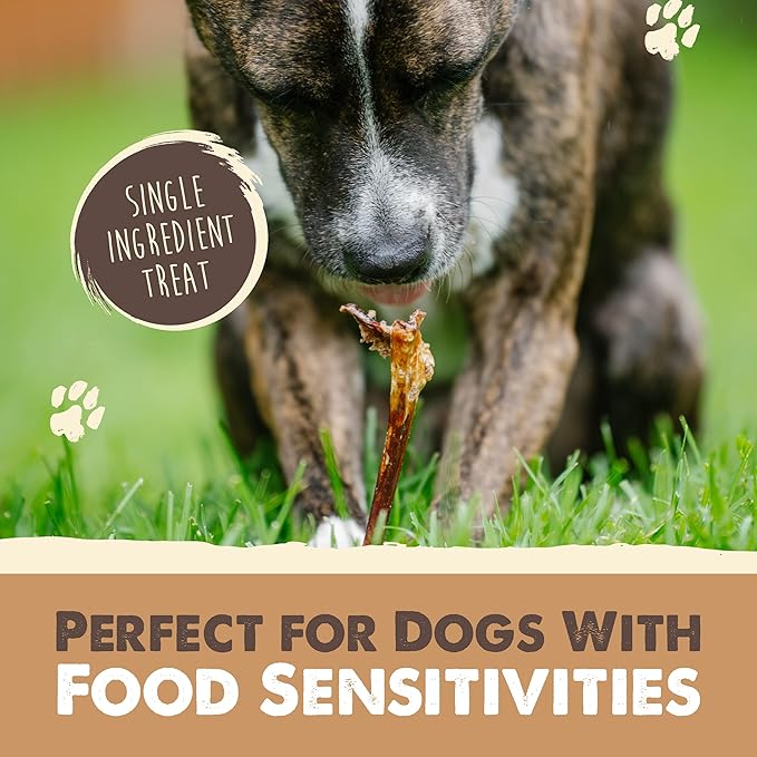 Mighty Paw Collagen Sticks for Dogs | Long Lasting Chews. Rawhide Free Pet Treats Long Lasting. Dog Chews Treats. Beef Collagen Stick for Pets (8 Pack)