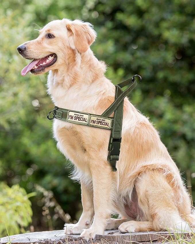 No Pull Dog Harness for Small Medium Large Sized Dogs, Escape Proof Adjustable Dog Harnesses with 2 Patch, Green Camo, S