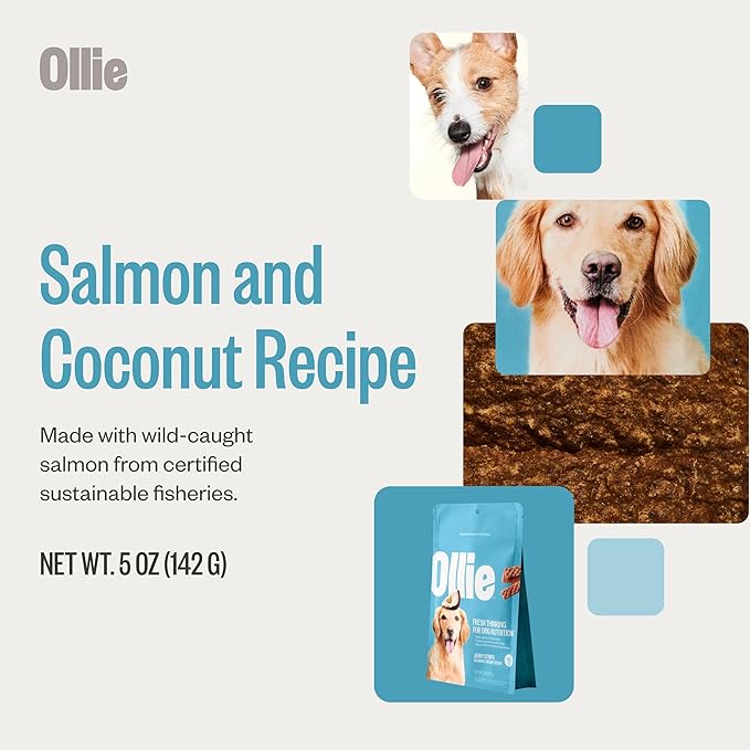Ollie Salmon and Coconut Jerky Dog Treats, 5 oz Pack of 3, All Natural, Healthy Snacks, Made with Real Meat, Human Grade, for Dogs