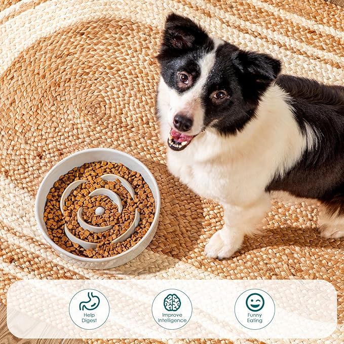 vancasso Slow Feeder Dog Bowl, 3 Cups Ceramic Slow Feeder for Large Breed, Puzzle Maze Dog Food Bowl for Fast Eater, Light Gray