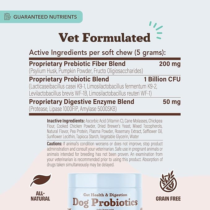 Natural Dog Company Gut Health & Canine Specific Probiotics Chews, 1 Daily Chew for All Dogs, Prebiotics & Digestive Enzymes for Digestion, Gas, Loose Stool, Immune System & Bowel Support