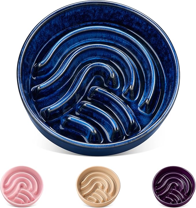 vancasso Slow Feeder Dog Bowl, 0.6 Cup Ceramic Slow Feeding Food Dish for Small Breed, Puzzle Dog Food Bowl for Fast Eater, Blue