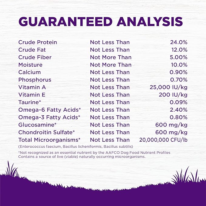 Wellness Complete Health Dry Dog Food, Wholesome Grains, Natural, Beef & Barley Recipe, (5-Poud Bag)