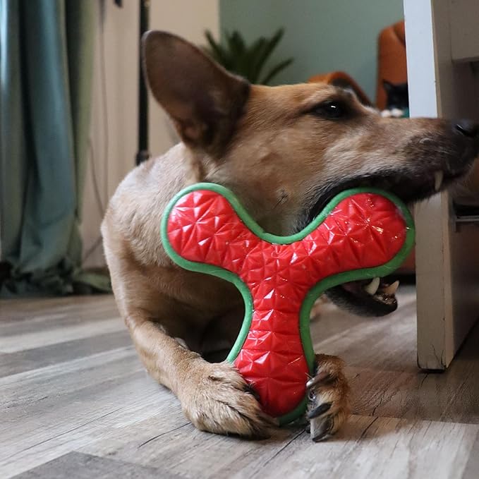 Dingo Toy for Dog, Durable TPR Rubber for chewers, Fetch Toy for Play, Boomerang 9.1", 17395 (Bommerang tri)