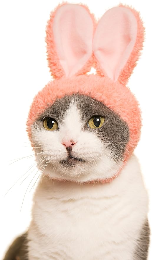 Kitan Club Cat Cap - Pet Hat Blind Box Includes 1 of 5 Cute Styles - Soft, Comfortable - Authentic Japanese Kawaii Design - Animal-Safe Materials, Premium Quality (Rabbit)