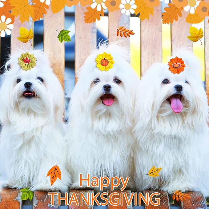 Sadnyy 60 Pack Thanksgiving Dog Hair Bows Fall Dog Flower Bows with Rubber Bands Thanksgiving Puppy Grooming Hair Accessories Pumpkin Turkey Pattern for Holiday Puppy Cats Pets Accessories