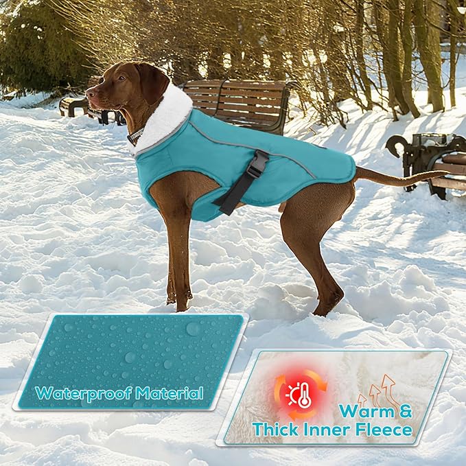 EMUST Winter Dog Jacket, Windproof Dog Apparel for Cold Weather, Reflective Coats for Dogs, Warm Puppy Jacket for Cold Winter, Turquoise, S