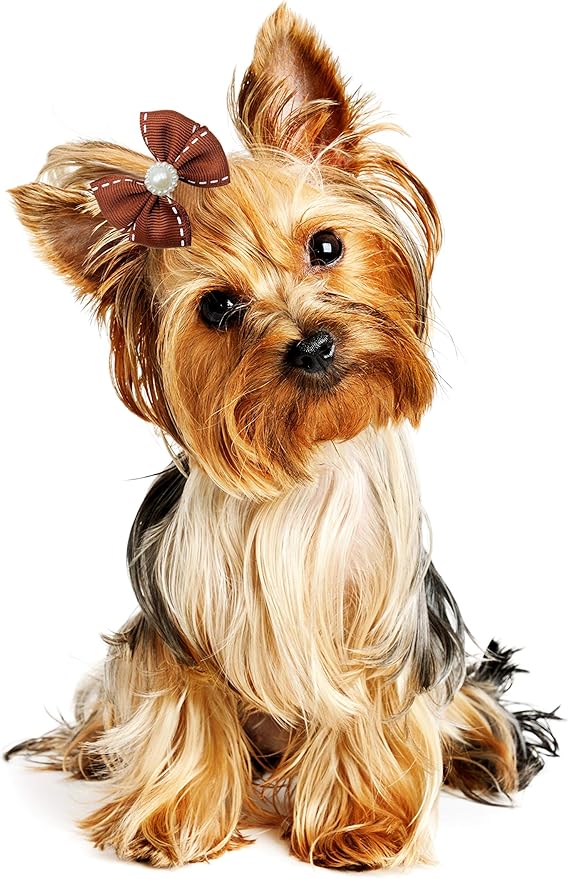 PET SHOW 10Pcs 2" Dotted Line Small Dog Hair Bows with French Clips Pet Bowknot Barrette Bows Puppy Topknot Medium Dogs Grooming Hair Accessories for Doggies Cat Kitten Rabbit