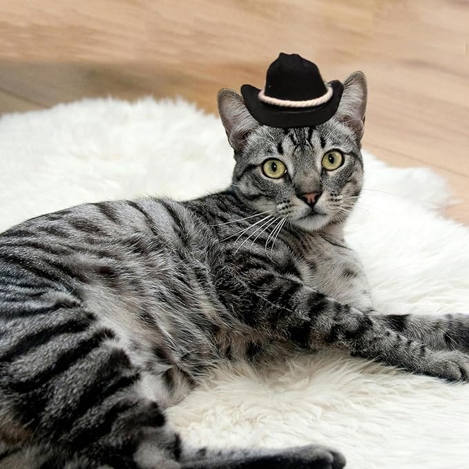 Dog Cowboy Hat Cat Cowboy Hat Pet Cowboy Costume Mini Cowboy Hat for Dogs Cat Holiday Halloween Pet Party Decoration (Black-style3, Small)
