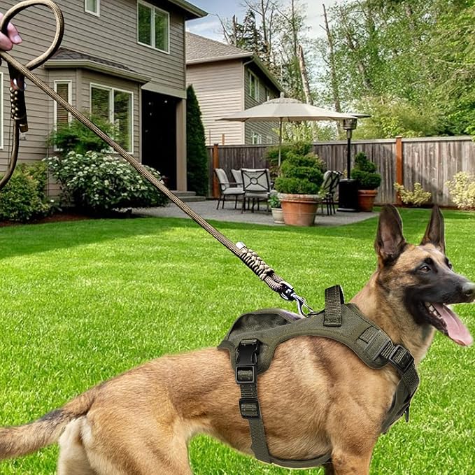 Heavy Duty Dog Leash- 6 FT Handmade Rope with Rotating Metal Clip, No Pull Training Slip Lead Comfortable for The Strong Large Medium Pets (Heavy Duty Dog Leash (Green), 6 FT Dog Leash)