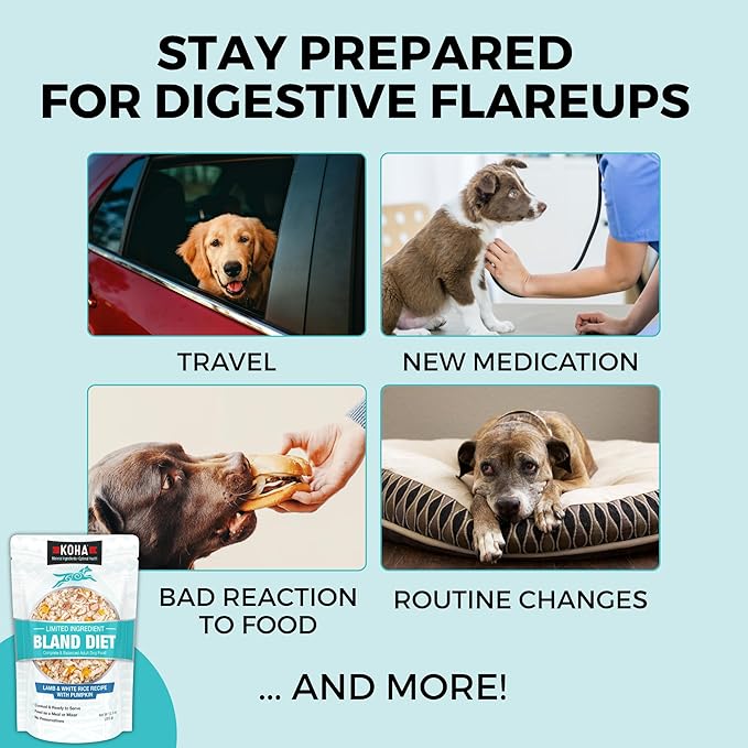 KOHA Pet Limited Ingredient Bland Diet for Dogs, Lamb and White Rice Recipe Sensitive Stomach Wet Dog Food, Gentle Formula Easy to Digest Bland Diet Dog Food, Pack of 6