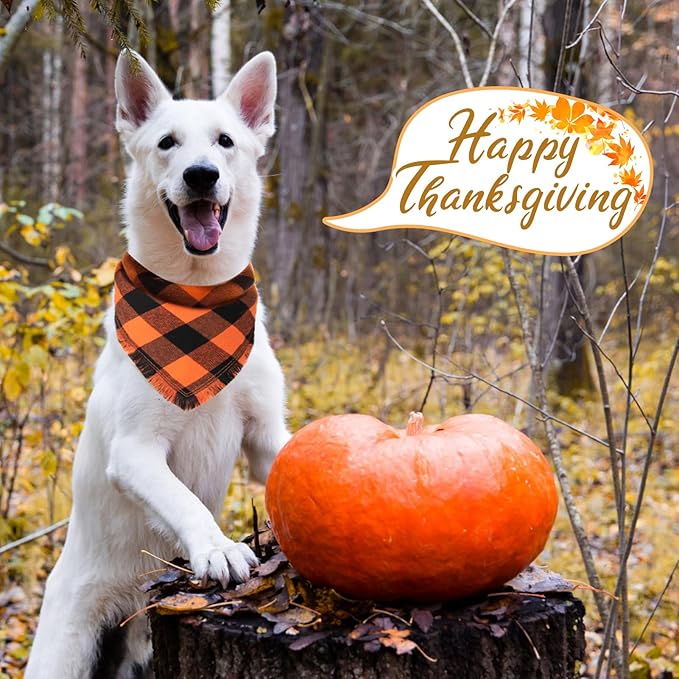Kytely Fall Thanksgiving Dog Bandanas Large, 2Pack Christmas Halloween Classic Plaid Pet Scarf with Tassels Edges for Boy and Girl, Pet Apparel & Accessories Costume for Puppy Pets