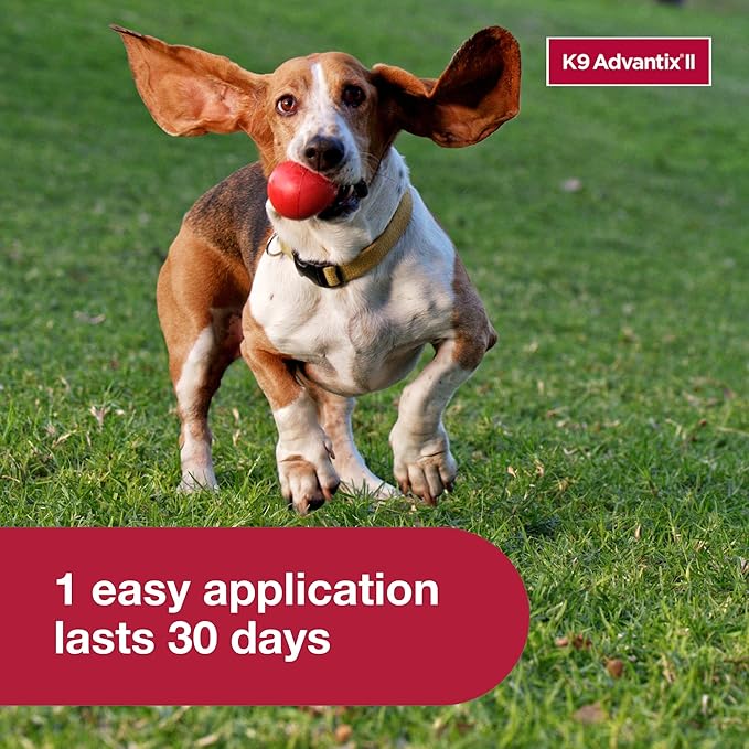 K9 Advantix II Small Dog Vet-Recommended Flea, Tick & Mosquito Treatment & Prevention | Dogs 4-10 lbs. | 1-Mo Supply (Pack of 3)